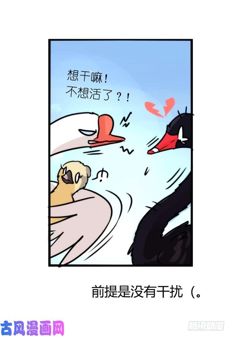 进化之基动协在行动：毛绒绒战争