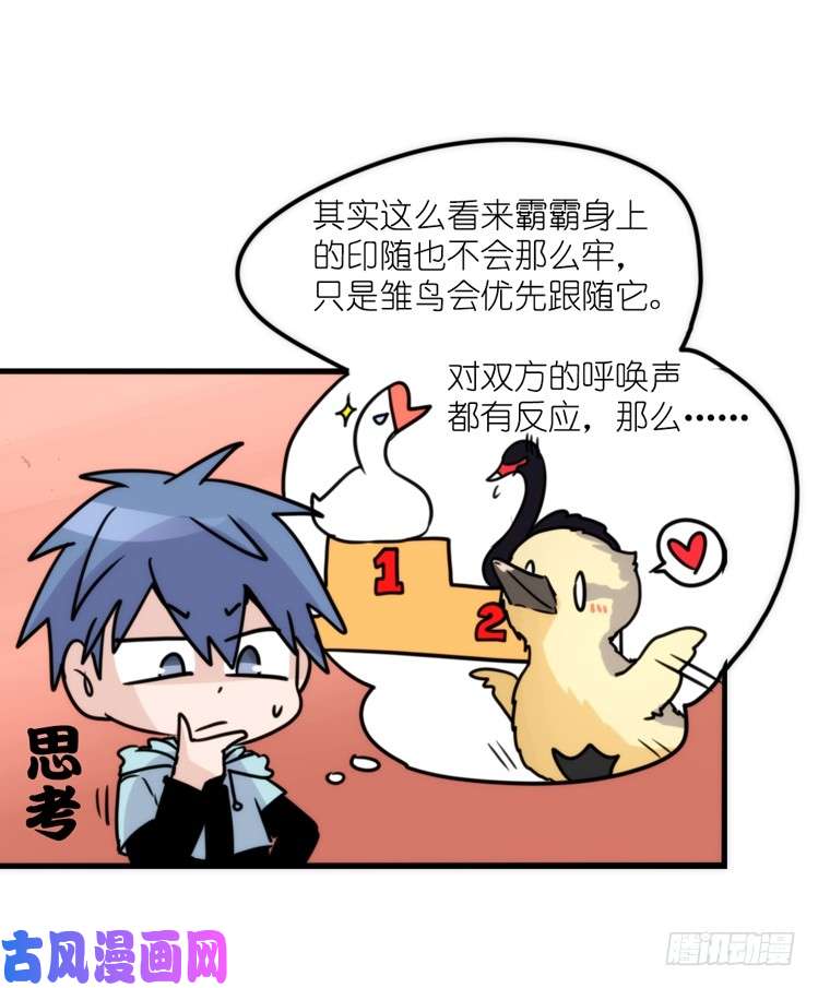 进化之基动协在行动：毛绒绒战争