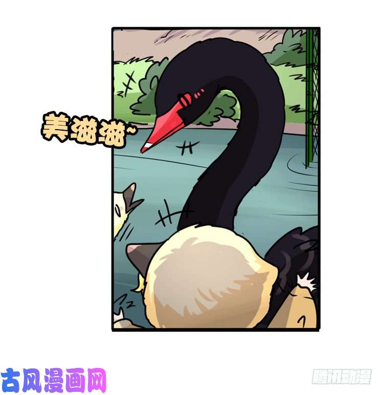 进化之基动协在行动：毛绒绒战争