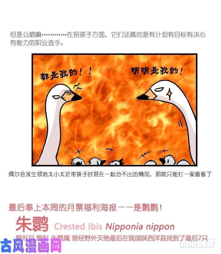 进化之基动协在行动：毛绒绒战争