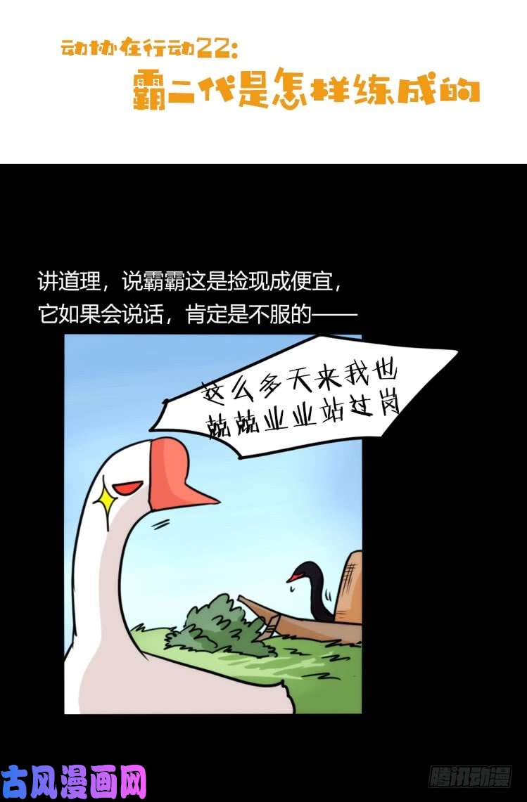 进化之基动协在行动22：霸二代是怎样炼成