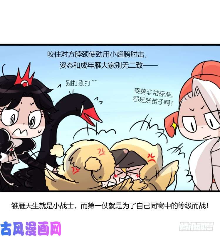 进化之基动协在行动22：霸二代是怎样炼成
