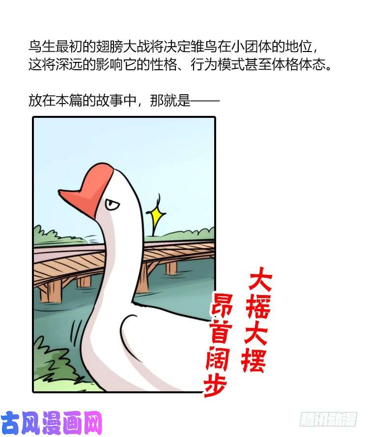 进化之基动协在行动22：霸二代是怎样炼成