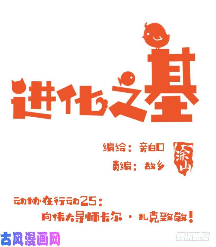 进化之基动协在行动25：向卡尔导师致敬！
