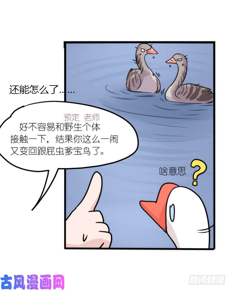 进化之基动协在行动25：向卡尔导师致敬！
