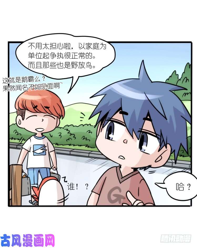进化之基动协在行动25：向卡尔导师致敬！