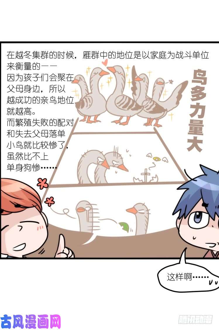 进化之基动协在行动25：向卡尔导师致敬！