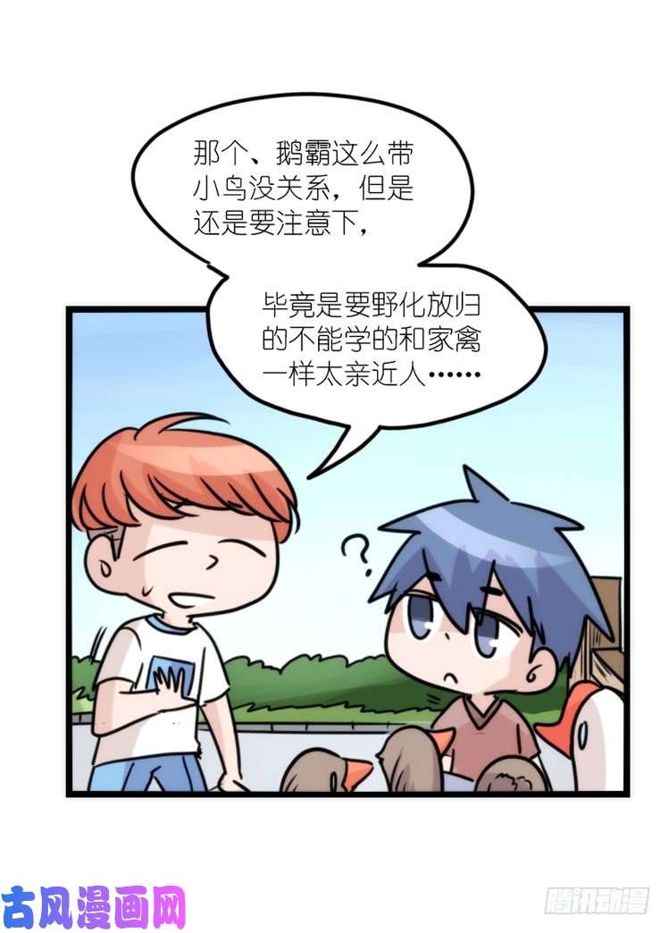 进化之基动协在行动25：向卡尔导师致敬！
