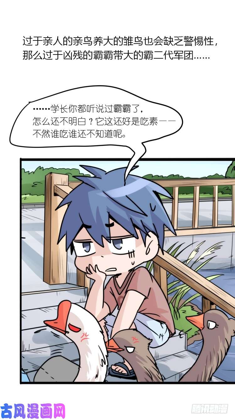进化之基动协在行动25：向卡尔导师致敬！