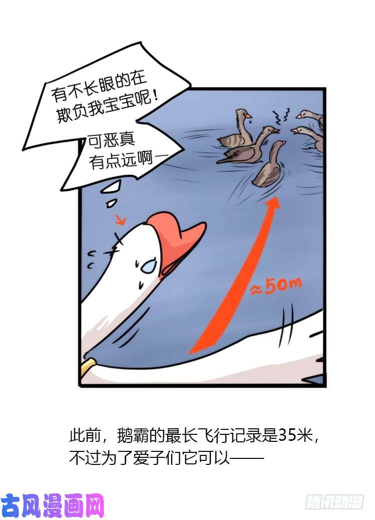 进化之基动协在行动25：向卡尔导师致敬！