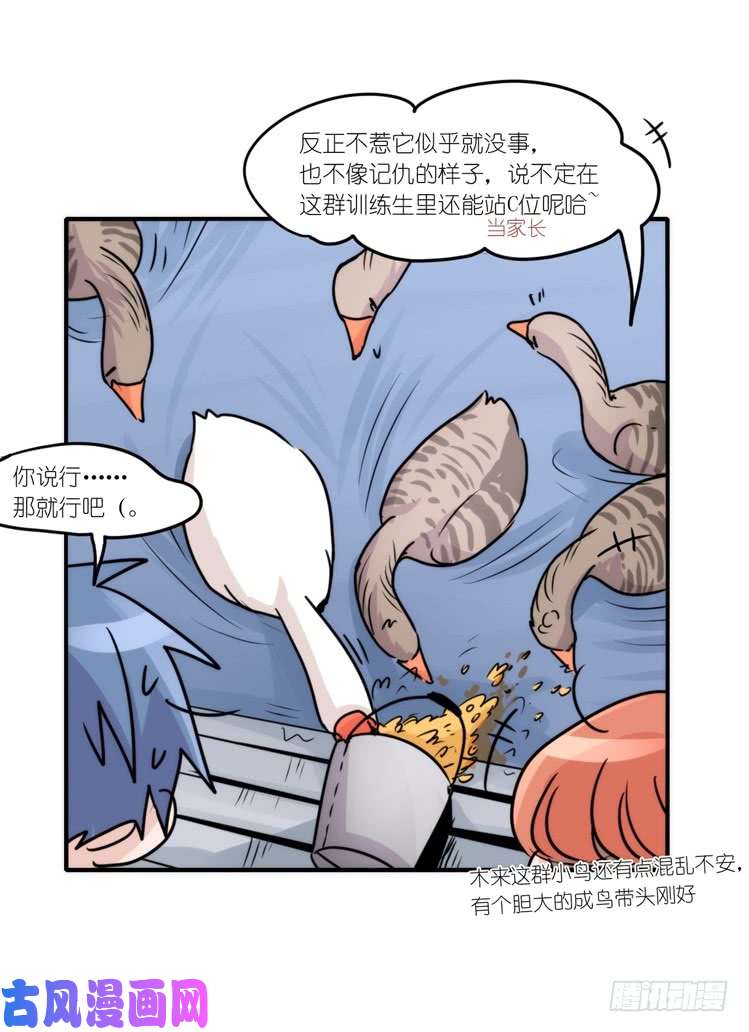 进化之基动协在行动25：向卡尔导师致敬！