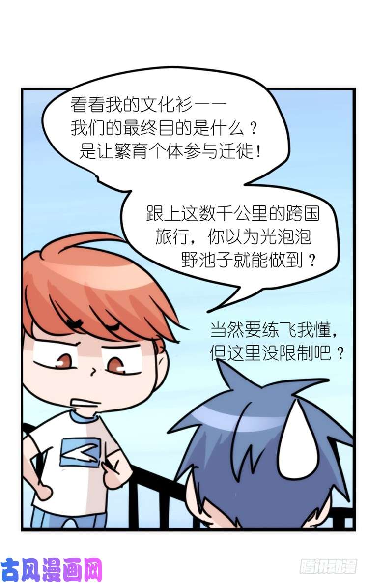 进化之基动协在行动25：向卡尔导师致敬！