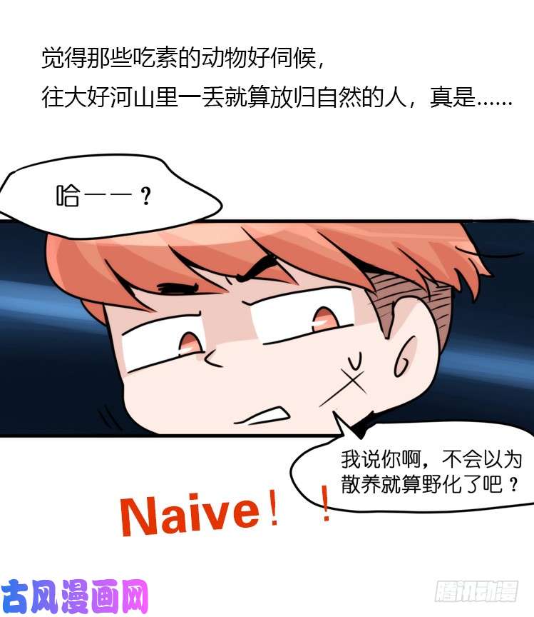 进化之基动协在行动25：向卡尔导师致敬！