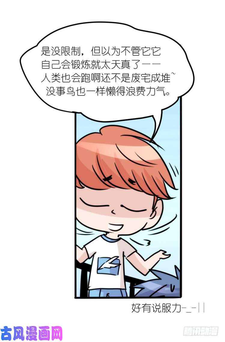 进化之基动协在行动25：向卡尔导师致敬！