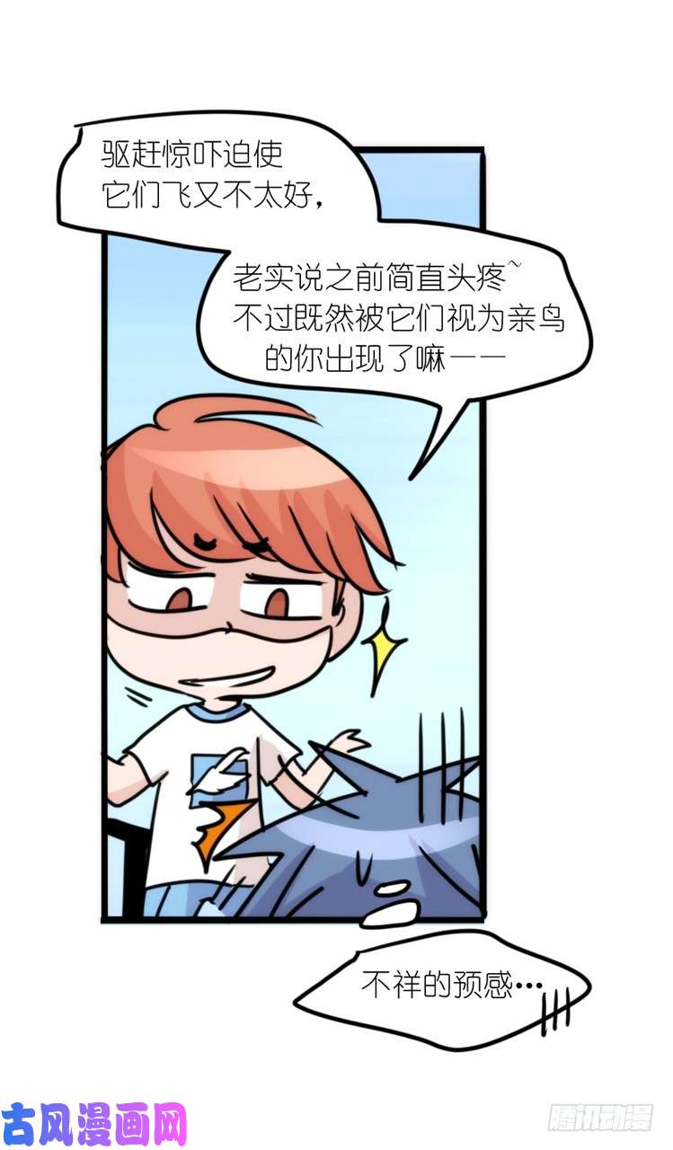 进化之基动协在行动25：向卡尔导师致敬！