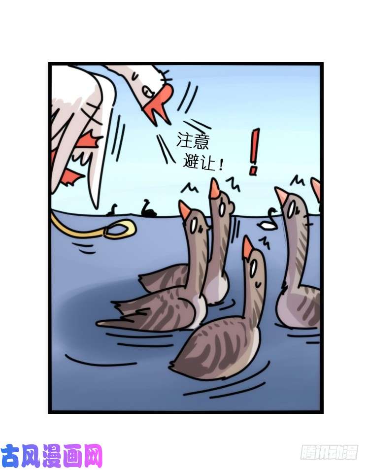 进化之基动协在行动25：向卡尔导师致敬！