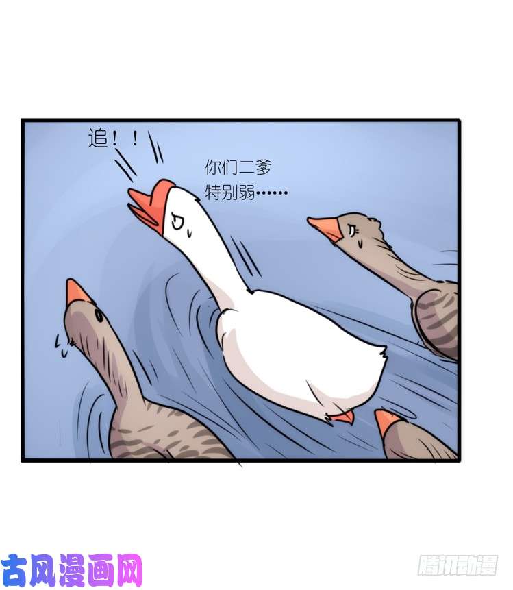 进化之基动协在行动25：向卡尔导师致敬！