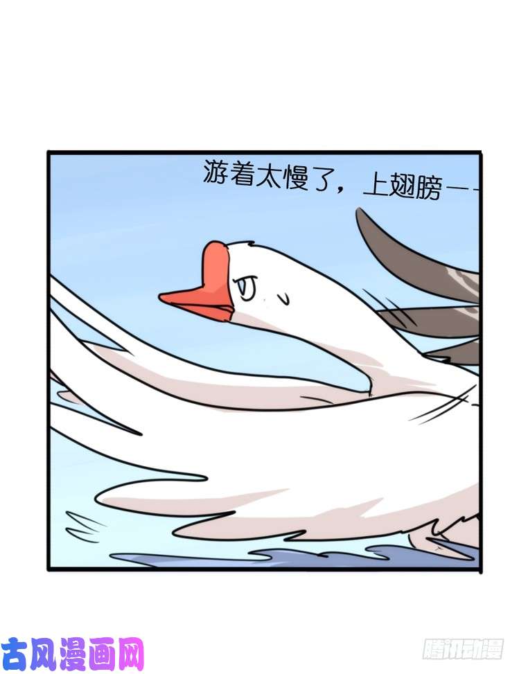 进化之基动协在行动25：向卡尔导师致敬！