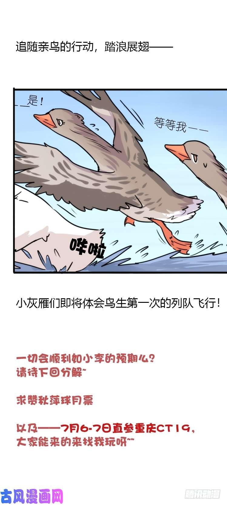进化之基动协在行动25：向卡尔导师致敬！
