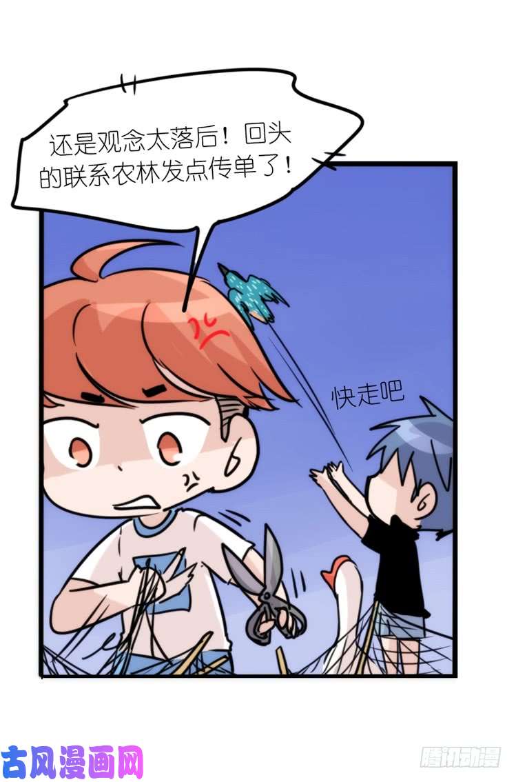 进化之基使命篇04：三鸟行必有我师焉