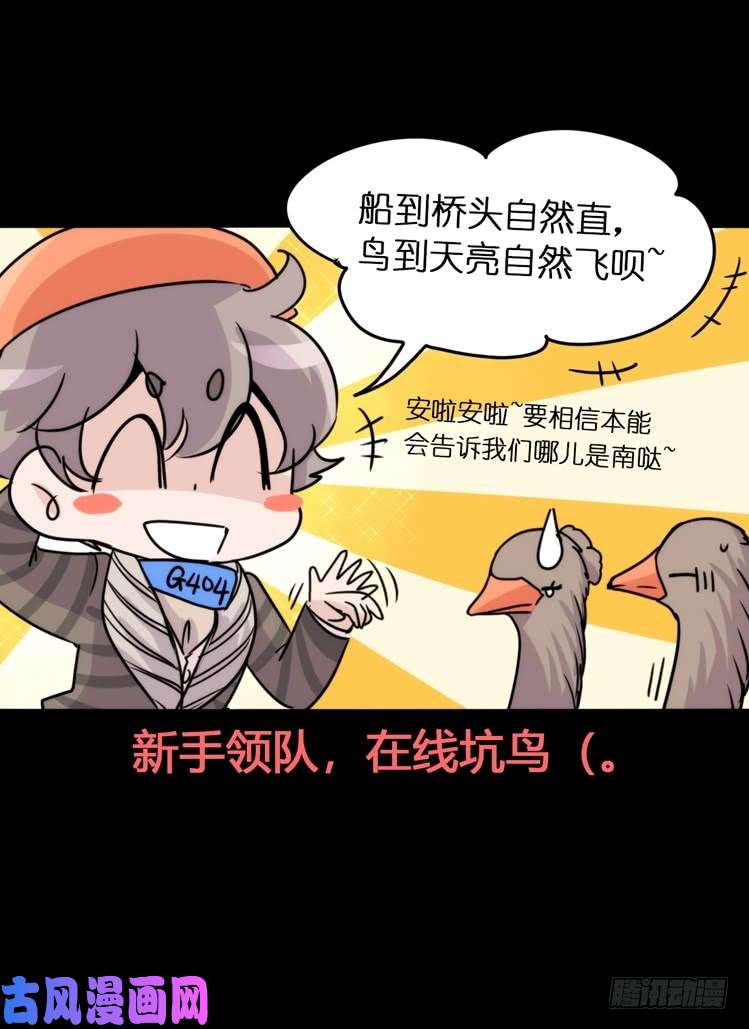 进化之基使命篇04：三鸟行必有我师焉