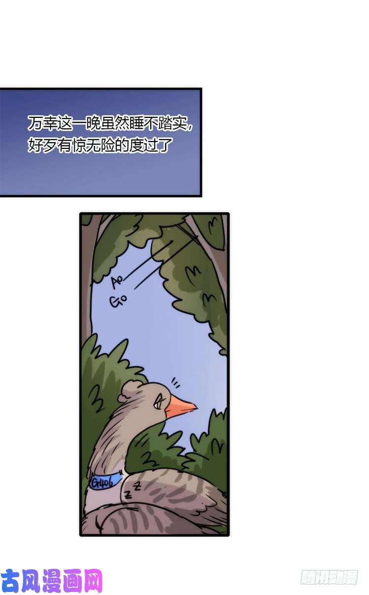 进化之基使命篇04：三鸟行必有我师焉