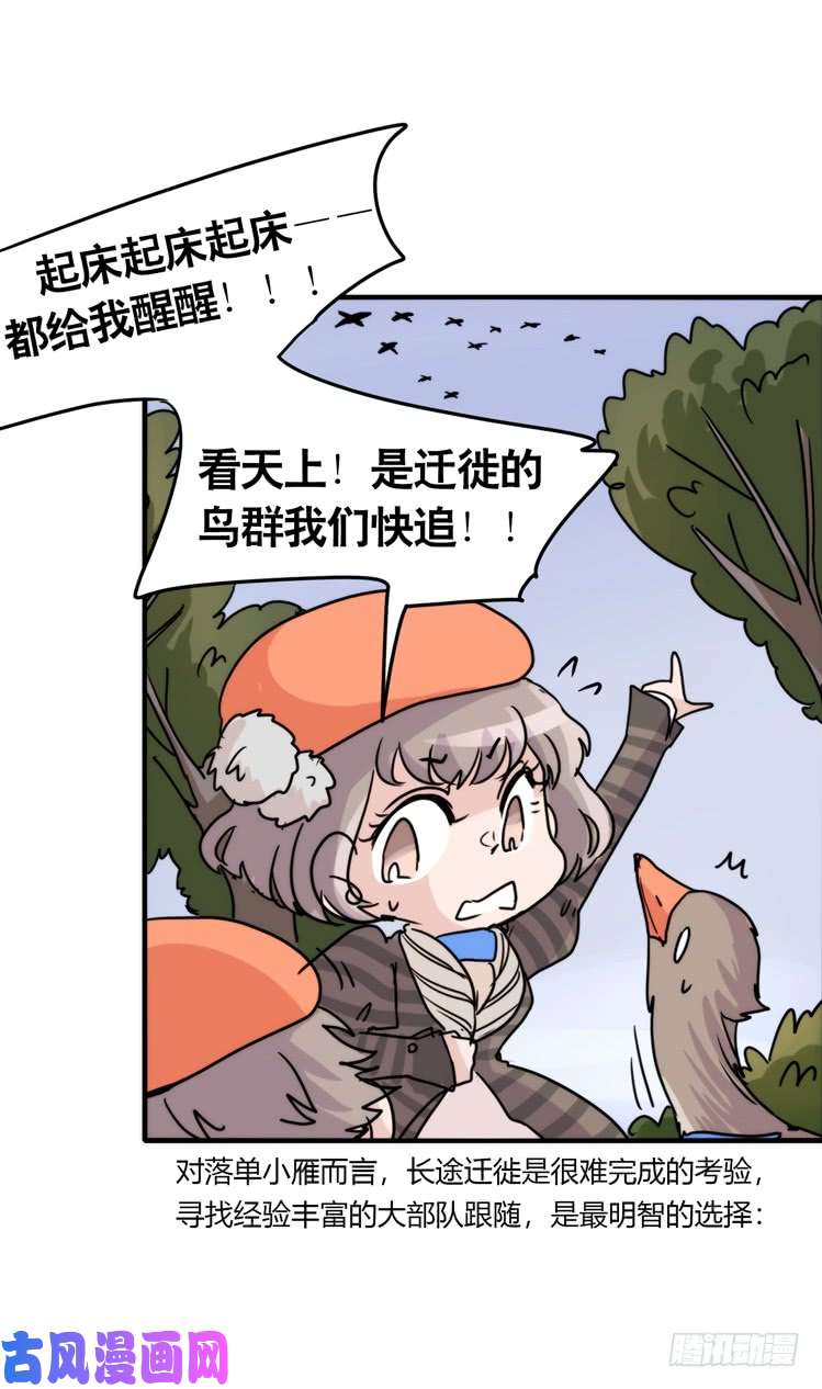 进化之基使命篇04：三鸟行必有我师焉