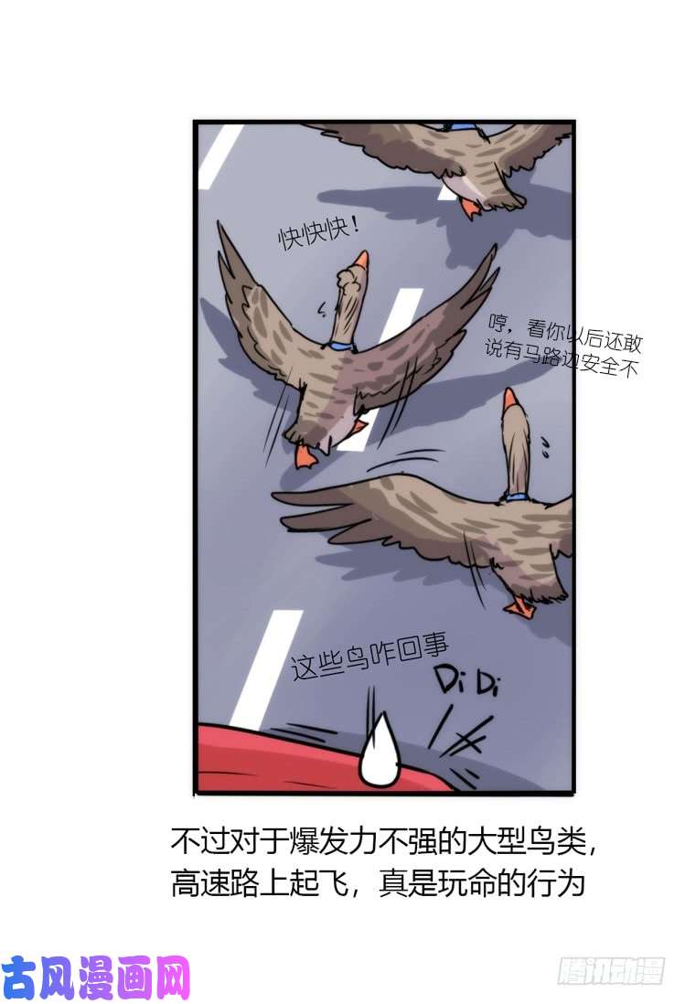 进化之基使命篇04：三鸟行必有我师焉