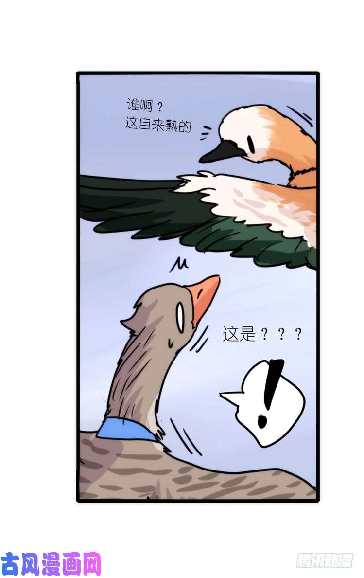 进化之基使命篇04：三鸟行必有我师焉