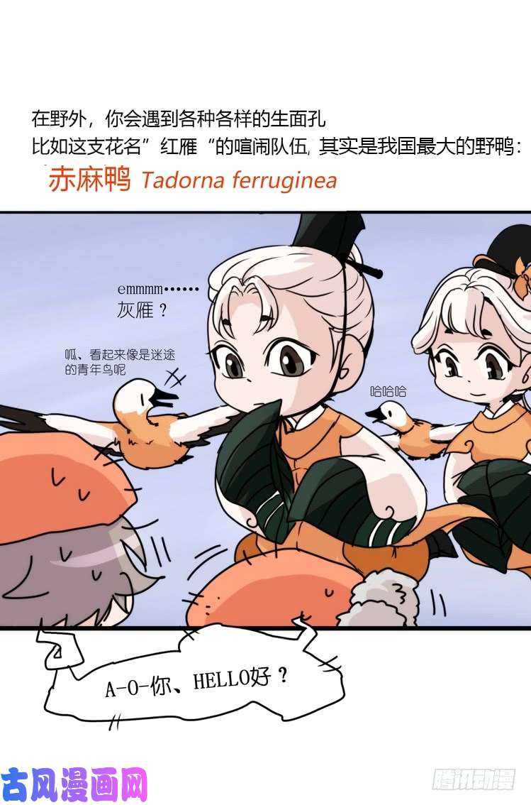 进化之基使命篇04：三鸟行必有我师焉