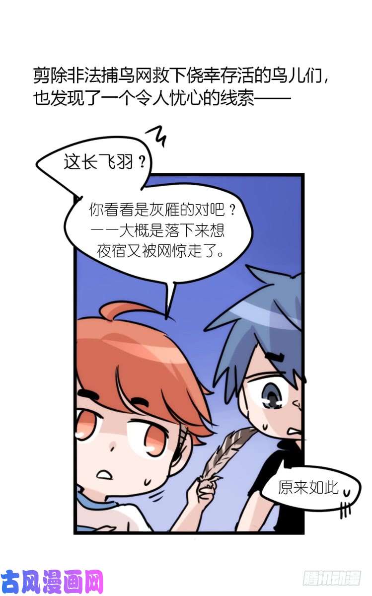 进化之基使命篇04：三鸟行必有我师焉