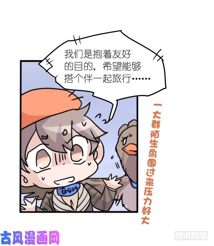 进化之基使命篇04：三鸟行必有我师焉