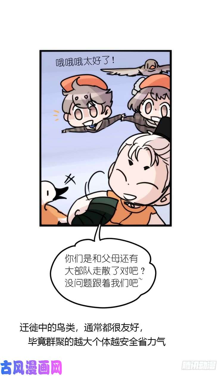 进化之基使命篇04：三鸟行必有我师焉