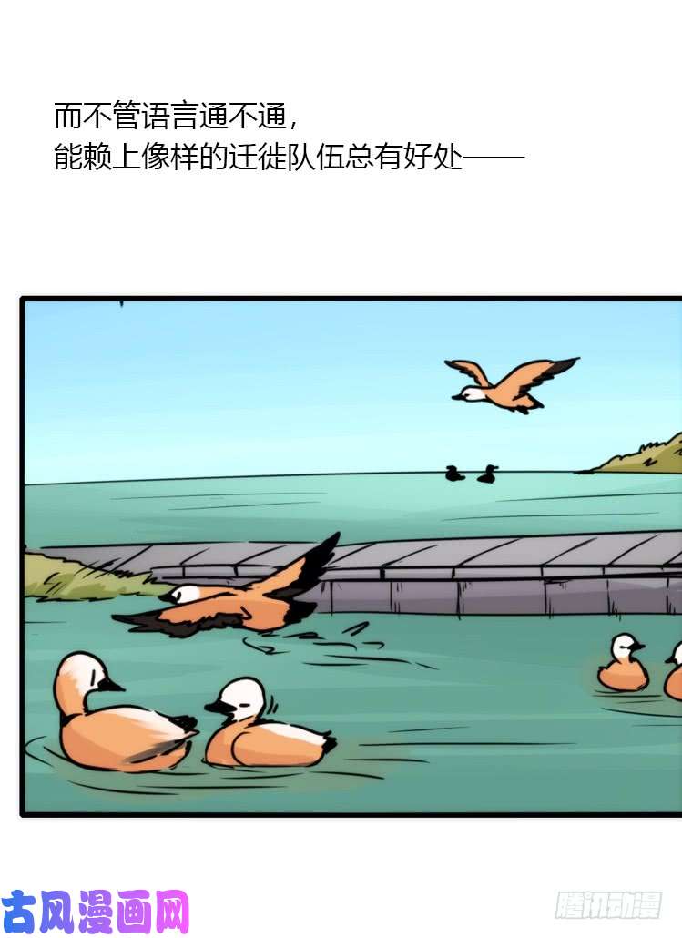 进化之基使命篇04：三鸟行必有我师焉