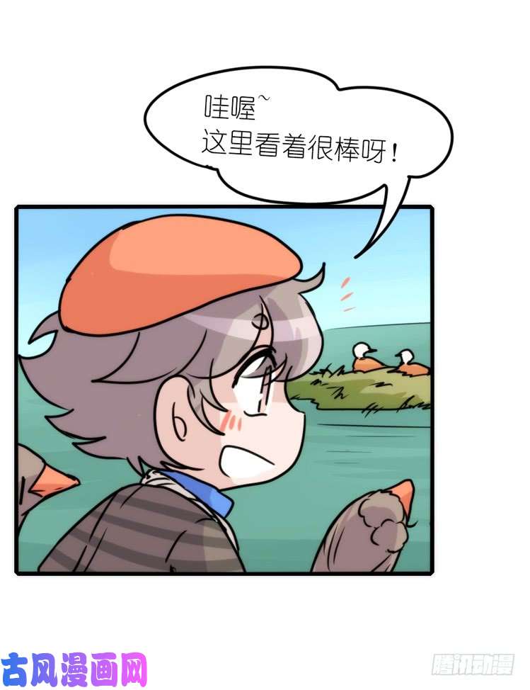 进化之基使命篇04：三鸟行必有我师焉