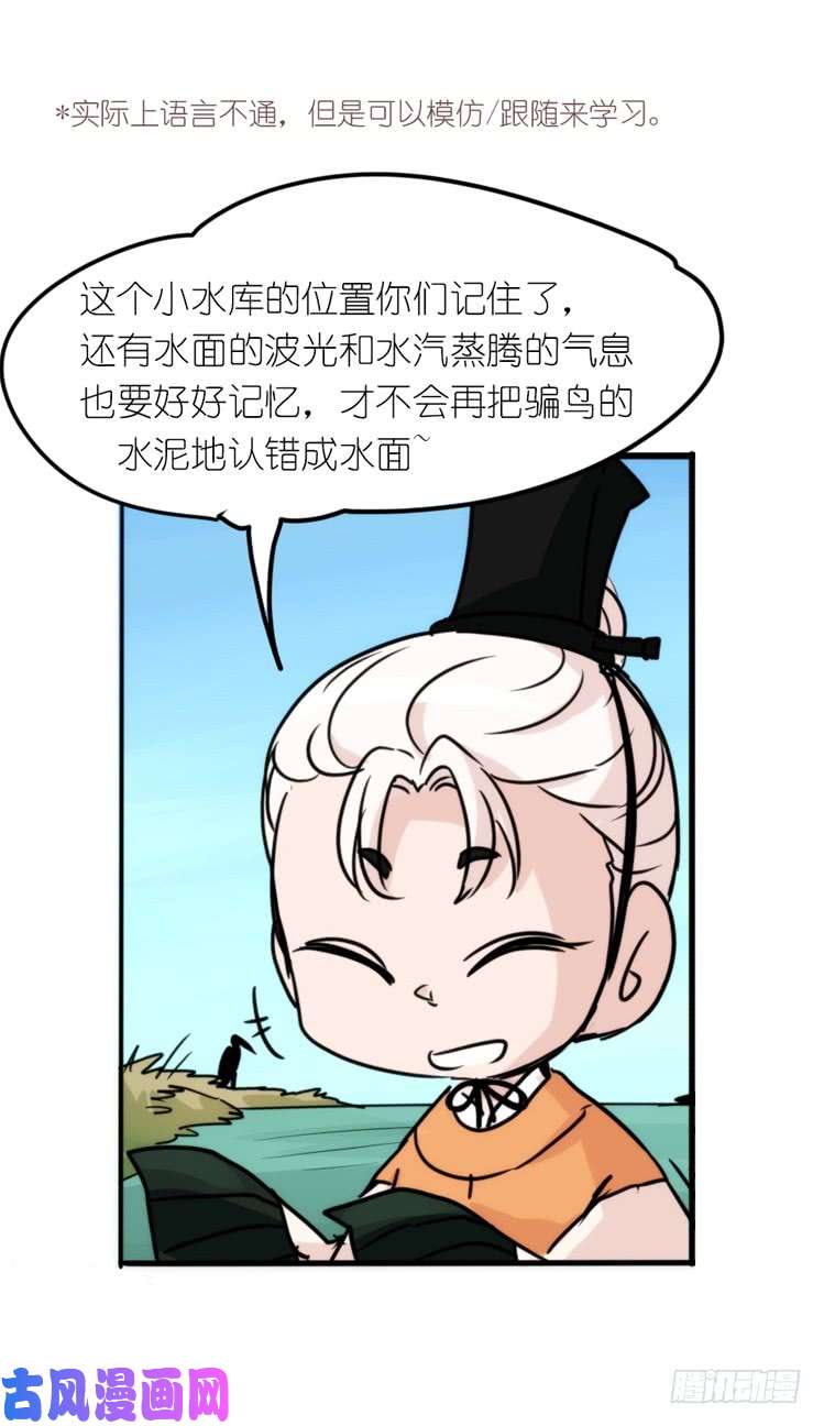 进化之基使命篇04：三鸟行必有我师焉