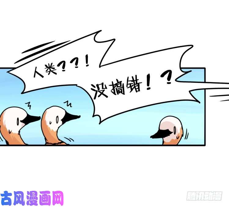 进化之基使命篇04：三鸟行必有我师焉