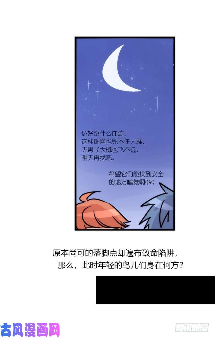 进化之基使命篇04：三鸟行必有我师焉