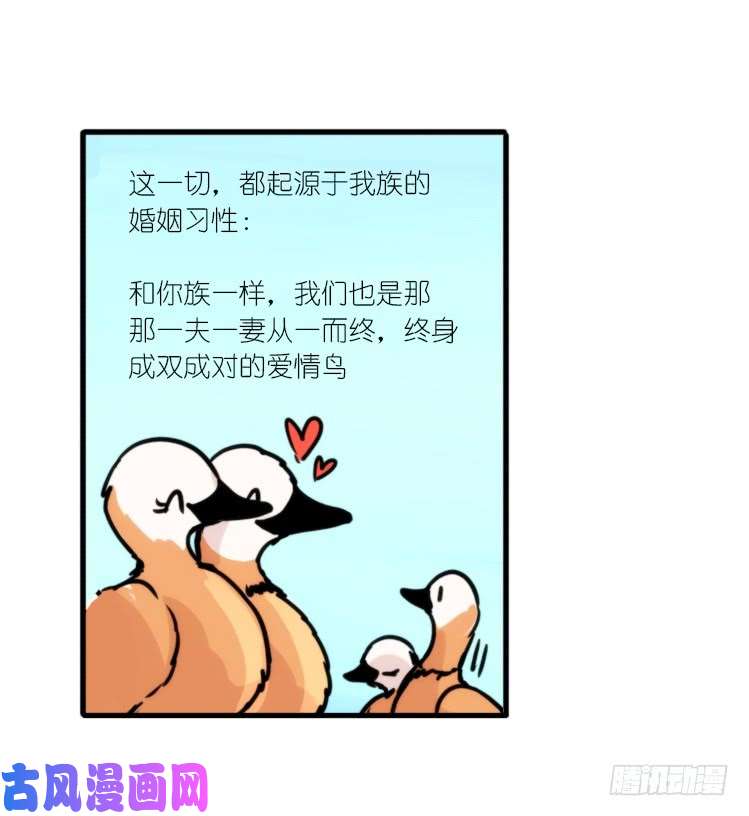进化之基使命篇04：三鸟行必有我师焉