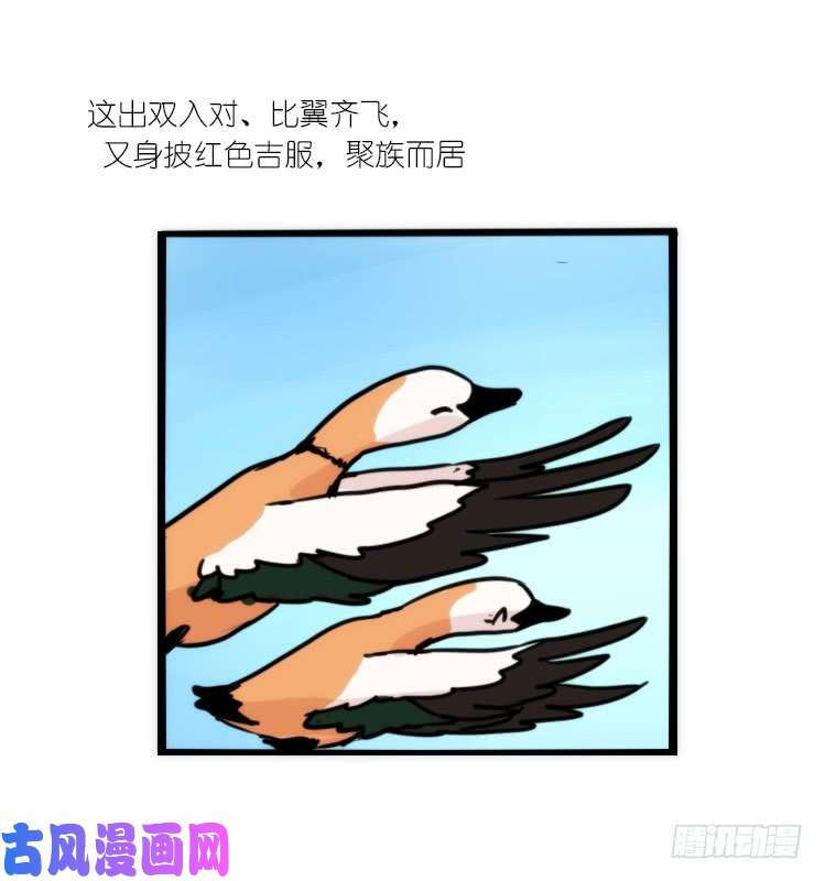 进化之基使命篇04：三鸟行必有我师焉