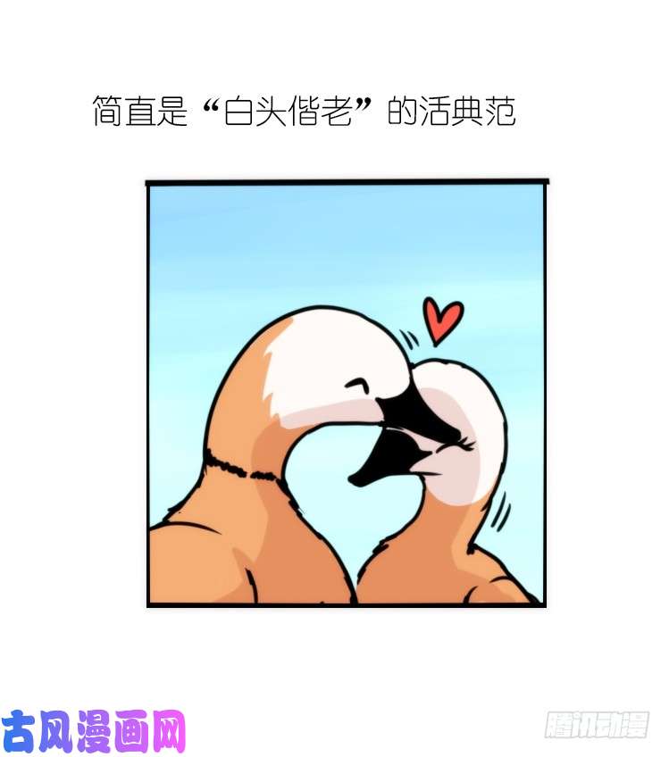 进化之基使命篇04：三鸟行必有我师焉