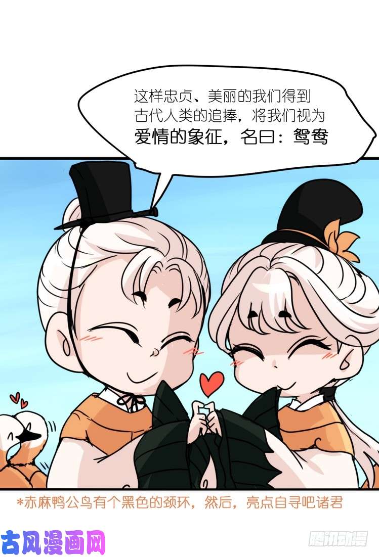 进化之基使命篇04：三鸟行必有我师焉