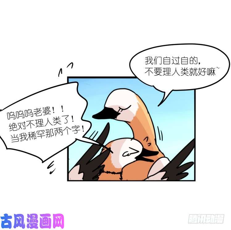 进化之基使命篇04：三鸟行必有我师焉