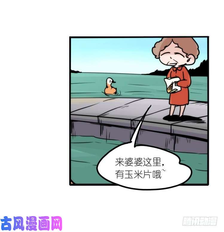 进化之基使命篇04：三鸟行必有我师焉