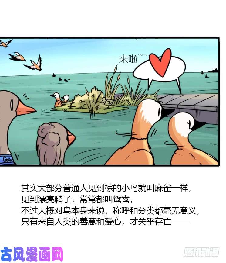 进化之基使命篇04：三鸟行必有我师焉