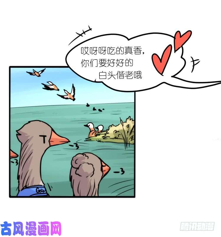 进化之基使命篇04：三鸟行必有我师焉