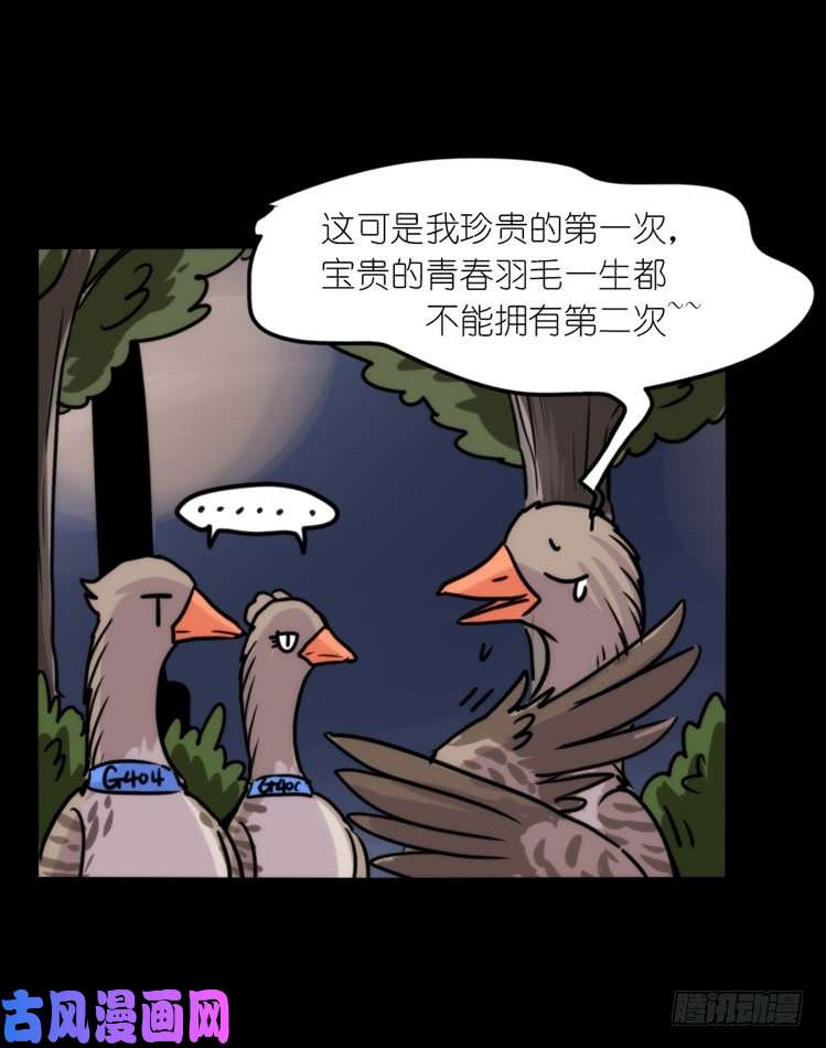 进化之基使命篇04：三鸟行必有我师焉