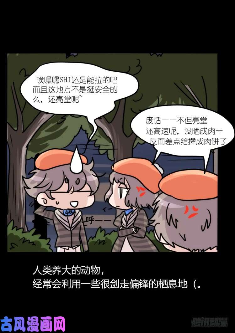 进化之基使命篇04：三鸟行必有我师焉