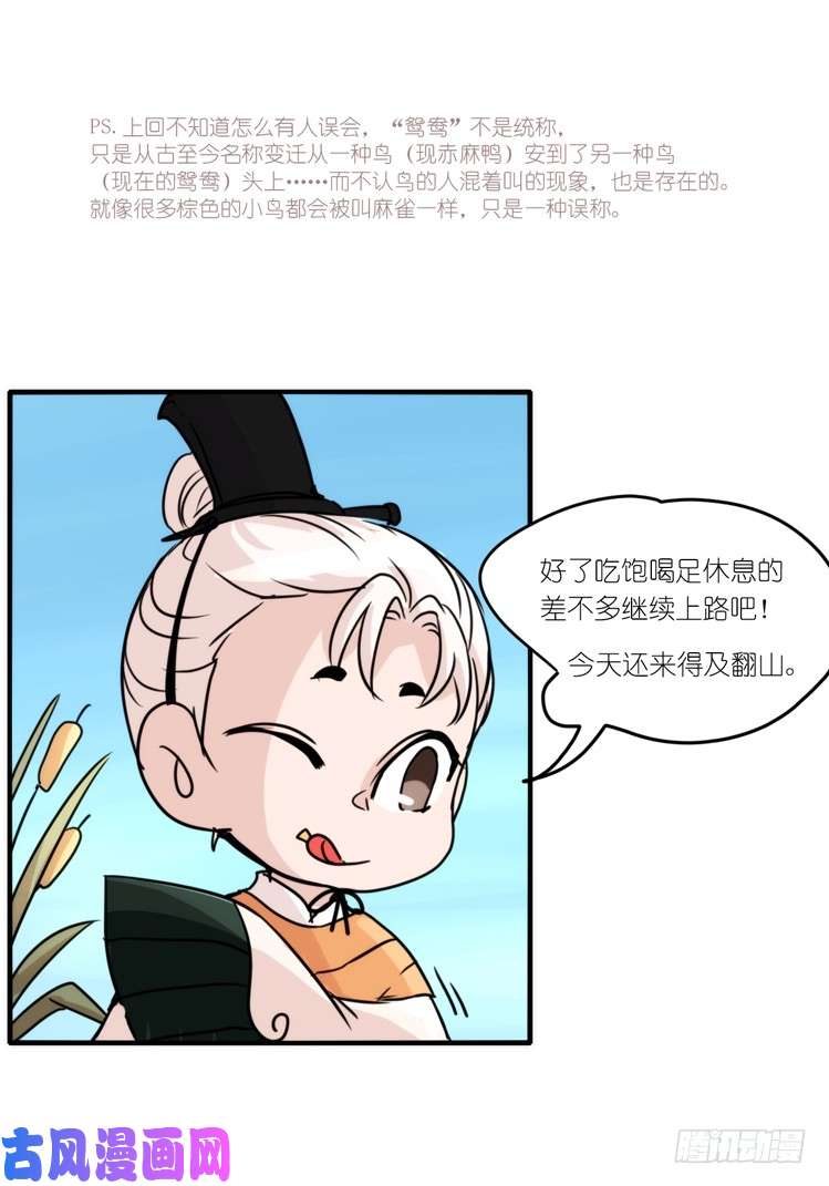 进化之基使命篇05：鸟眼看人奇