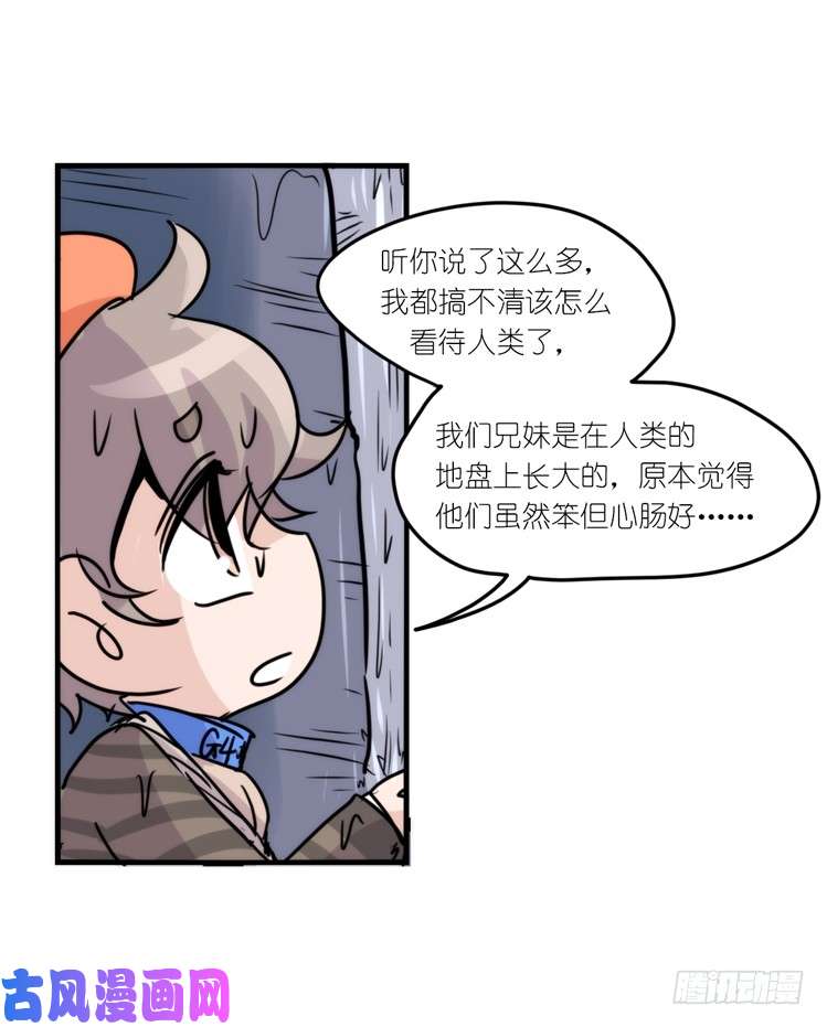 进化之基使命篇05：鸟眼看人奇